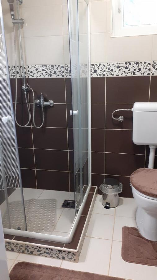 Borostyán Vendégház Tiszaug Extérieur photo